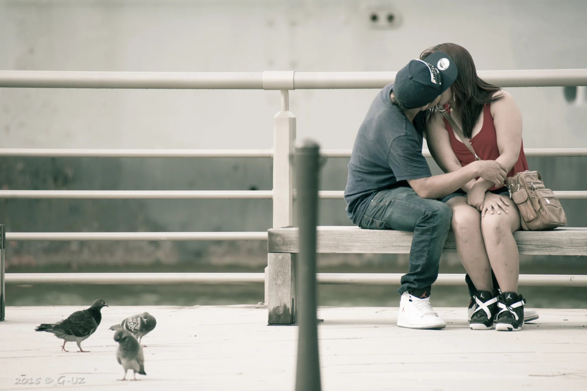 Una pareja se acerca en un banco mientras dos aves se encuentran en primer plano.